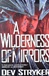 Wilderness of Mirrors, A | Stryker, Dev | First Edition Book