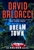 Baldacci, David | Dream Town | Signed First Edition Book