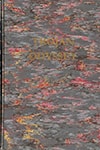 Trojan Odyssey | Cussler, Clive | Signed & Lettered Limited Edition Book
