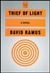 Thief of Light | Ramus, David | First Edition Book