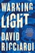 Warning Light | Ricciardi, David | Signed First Edition Book